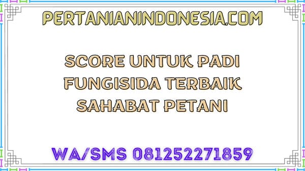 Score Untuk Padi Fungisida Terbaik Sahabat Petani